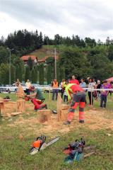 Hitrostno kiparjenje z motorno žago